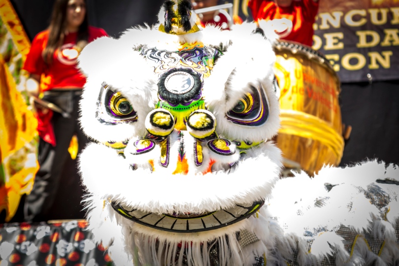 Exhibición de danzas de león chino. Festes Patronals Sant Vicent Ferrer. luzazul fotografía y comunicación. Raúl Rubio. La Vall d'Uixó, 2014