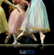 El Ballet de Moscú representa 'El lago de los cisnes' en el Auditori de la Vall. Foto: Raúl Rubio (www.luzazulestudio.com). Mayo 2015