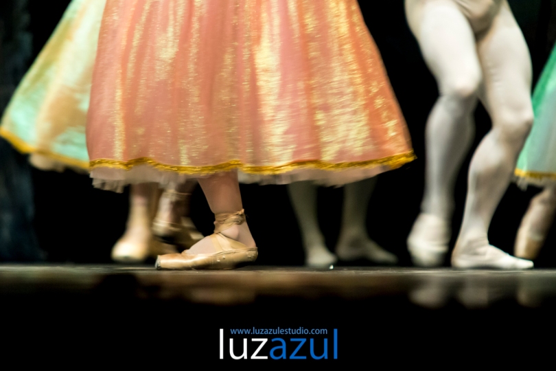 El Ballet de Moscú representa 'El lago de los cisnes' en el Auditori de la Vall. Foto: Raúl Rubio (www.luzazulestudio.com). Mayo 2015